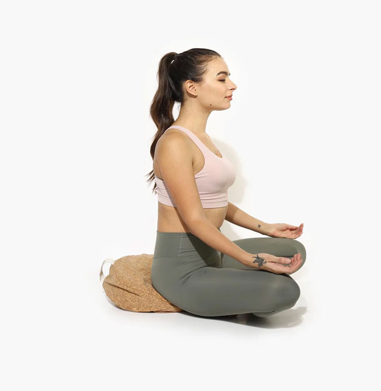 zencushion1