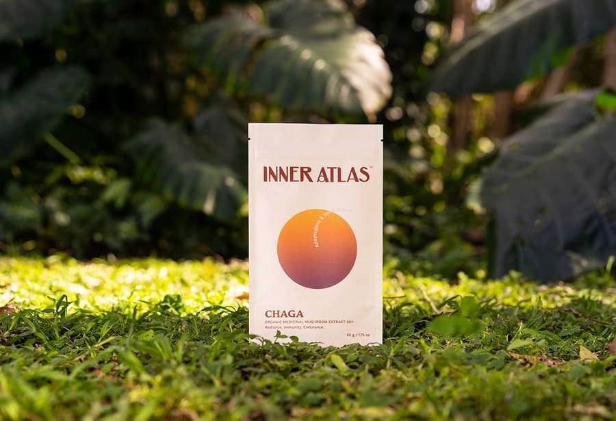 Inner-Atlas-Chaga-Mushroom-04