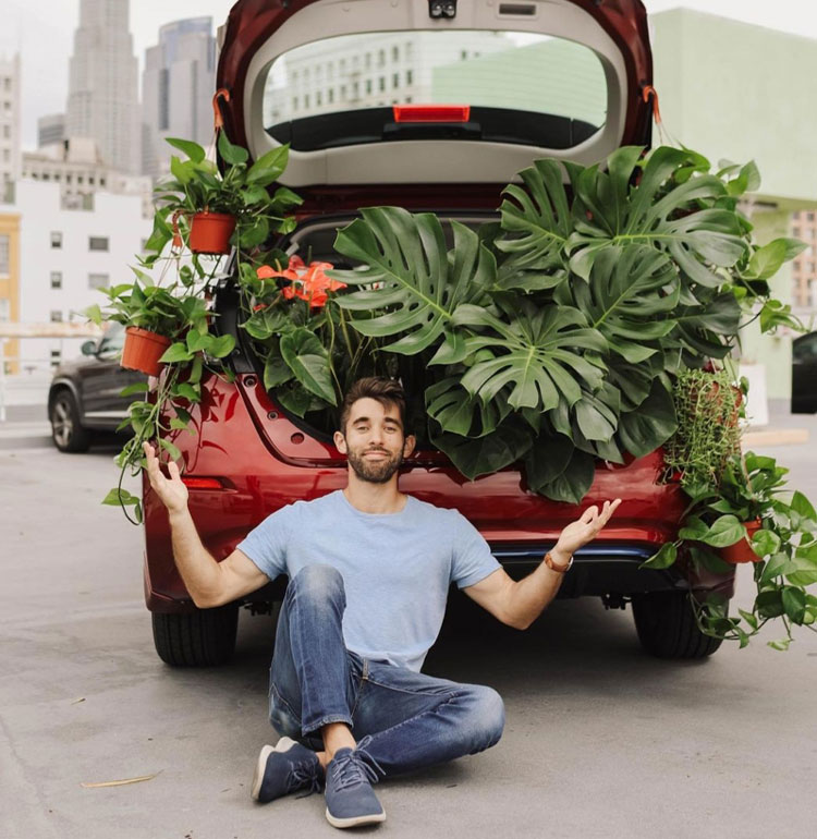 plantcoach1