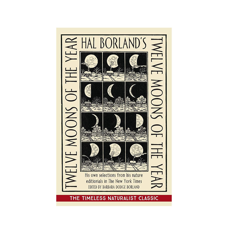 12moons