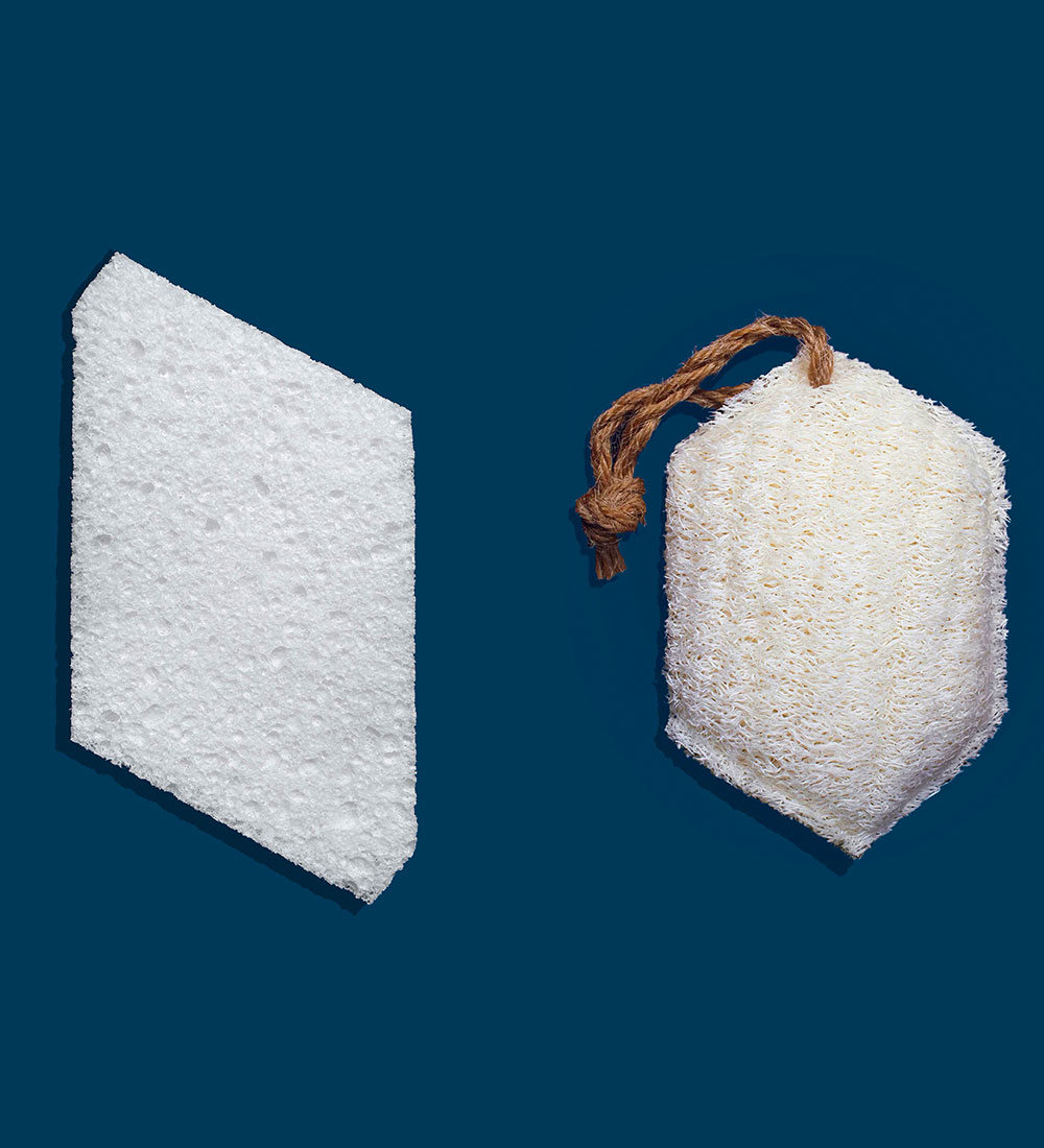 Sponge-Bundle4